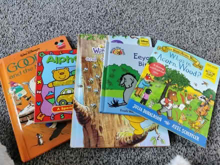 Photo of free Baby toys and books (Highfields ST17) #3