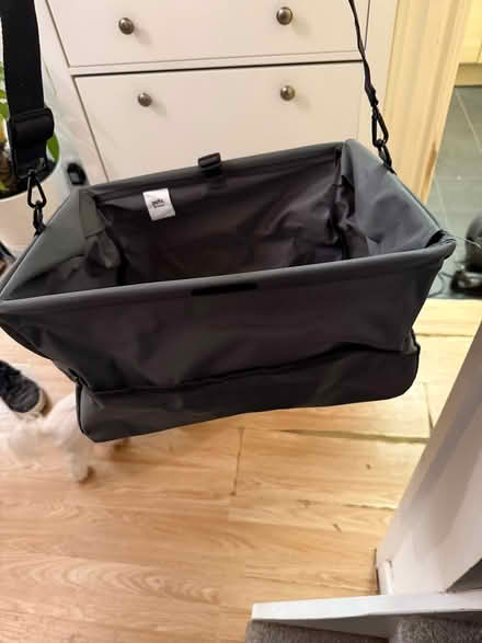 Photo of free Dog in car booster seat (Carshalton) #3