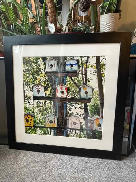 Photo of free Prints/frames (Boughton vale CV23) #1