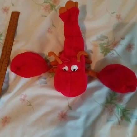 Photo of free Red lobster soft toy (Crawley RH10) #1