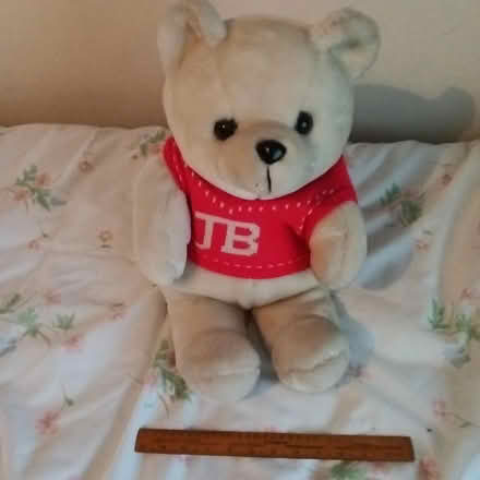 Photo of free Jingle Bear (Crawley RH10) #1