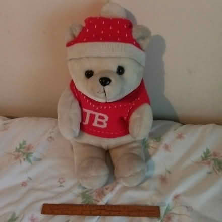 Photo of free Jingle Bear (Crawley RH10) #2
