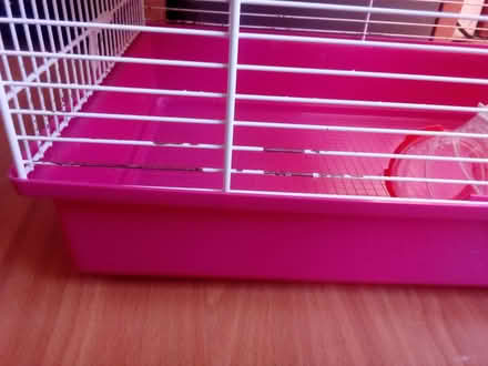 Photo of free Hamster cage 2tier with tubes (RG30) #1