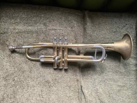 Photo of free Cornet (Fairfield Park) #1