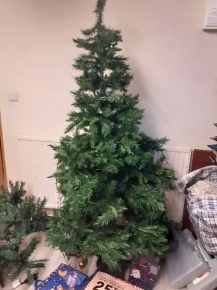 Photo of free 2 Christmas Trees (Piddington HP14) #2