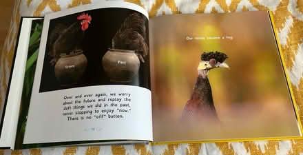 Photo of free All birds have anxiety Book (Halewood L26) #4