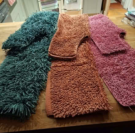 Photo of free Bath and pedestal mats (Rother TN35) #1