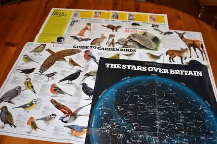 Photo of free 8 x Guardian wall charts (BS3 Southville) #1