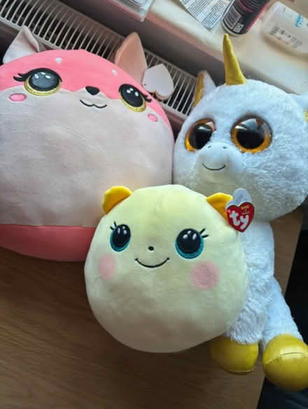 Photo of free Large Soft toys (Princes Risborough) #1