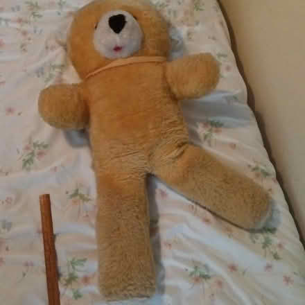 Photo of free Giant golden bear (Crawley RH10) #2