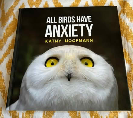 Photo of free All birds have anxiety Book (Halewood L26) #1