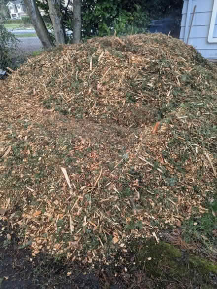 Photo of free Wood chips (Esperance) #1
