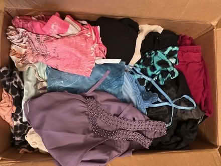 Photo of free Girl's Tank Tops S-M (Saratoga Mtns) #1