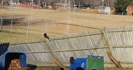 Photo of 3 4x4 fence posts (Warren) #1