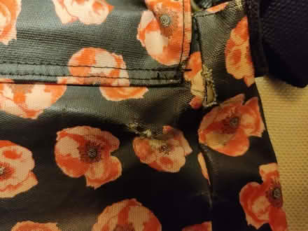 Photo of free Red poppy small satchel bag (Corsham) #3