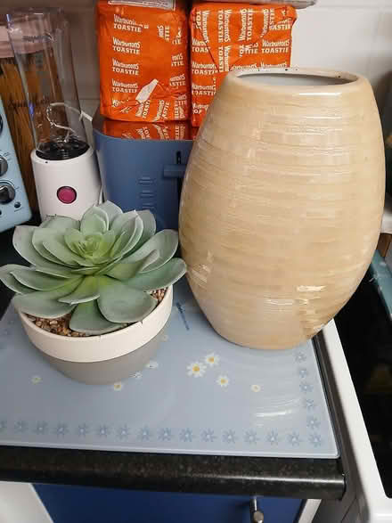 Photo of free Artificial plant & Vase (Durham) #1