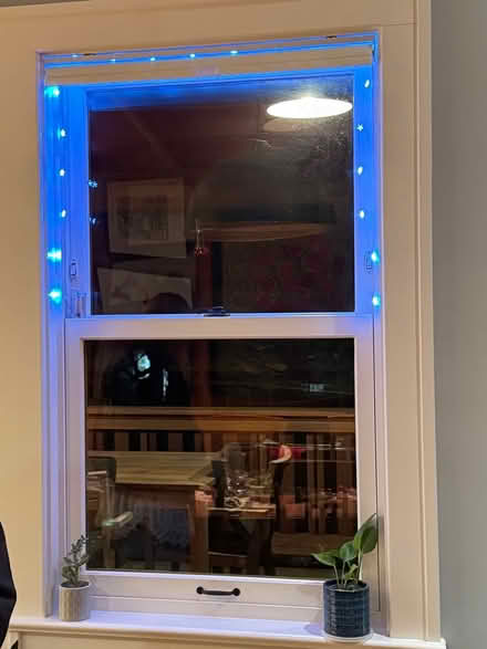 Photo of free Holiday fairy lights - bright white (Wallingford) #2