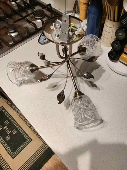 Photo of free Ceiling lights (EH16, Prestonfield) #2