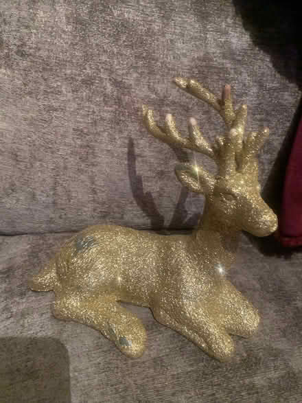 Photo of free Christmas decor (Charlton) #1