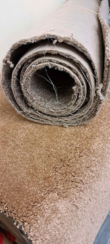 Photo of free carpet offcuts (Presteigne LD8) #2