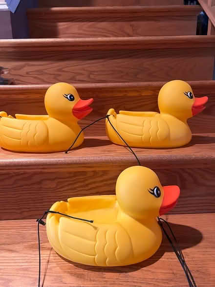 Photo of free Large plastic yellow ducks (Columbia Heights) #1