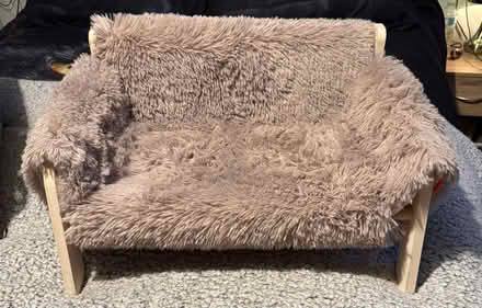 Photo of free All sorts (City Centre NR1) #3