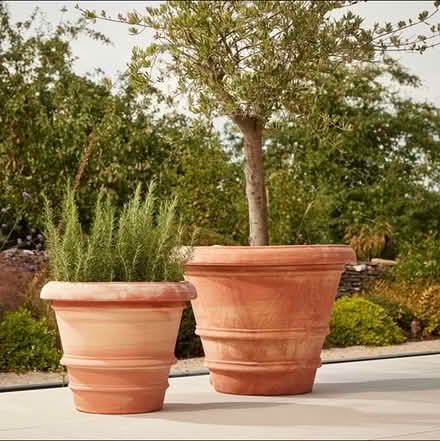 Photo of Large plant pots (Dublin 16) #1