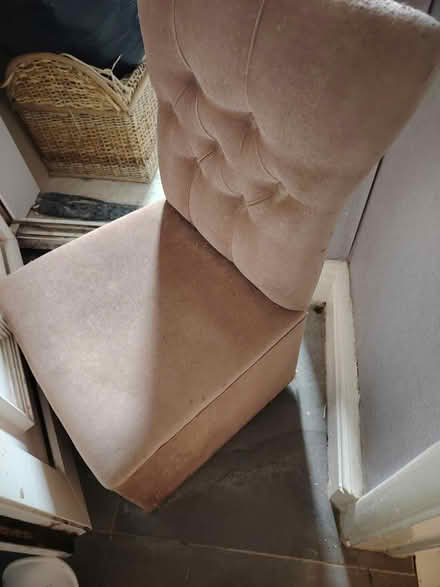 Photo of free Peach chair (Sheffield) #2
