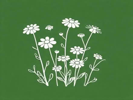 Photo of free Mombretia/crocosmia plants (KY15 Freuchie) #1