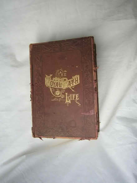 Photo of free old books, like really old (Blacktown near station) #1