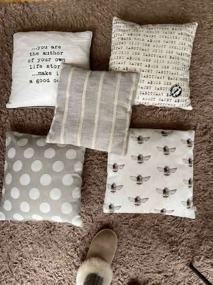 Photo of free 5 cushions (Sherwood NG5) #1