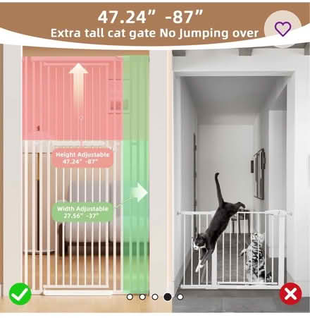 Photo of Cat / Baby Gate (Elkins Park Train Station) #1