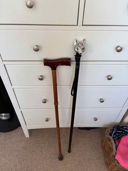 Photo of free Walking sticks x 2 (Potters Bar EN6) #2