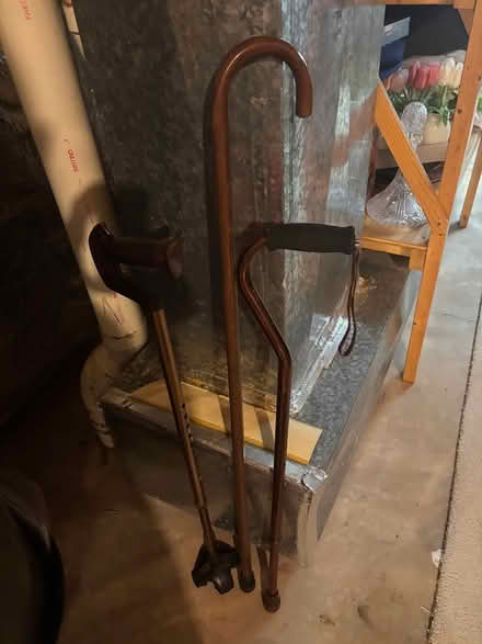 Photo of free Canes (Hannover & Ballenger) #1