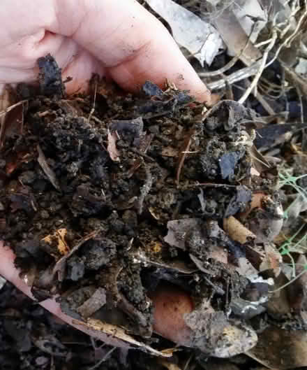 Photo of free Soil improver / Compost (Coleridge Ward CB1) #2