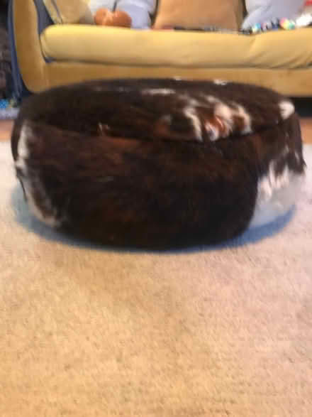 Photo of free Cowhide print pouffe (SE8 Deptford) #2