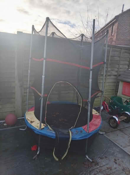 Photo of free Trampoline (Eastbourne) #1