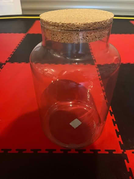 Photo of free Glass Terrarium Jar (Grandborough CV23) #3