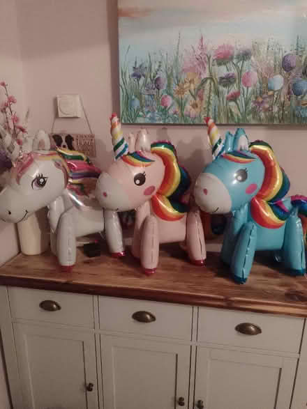 Photo of free Unicorn birthday decorations (Barnton CW8) #1