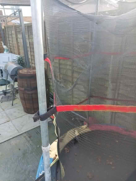 Photo of free Trampoline (Eastbourne) #2