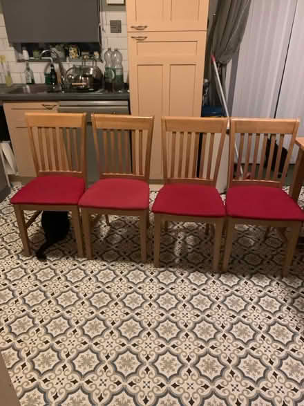 Photo of free Dining chairs (4) (Belle Isle LS10 Leeds) #1