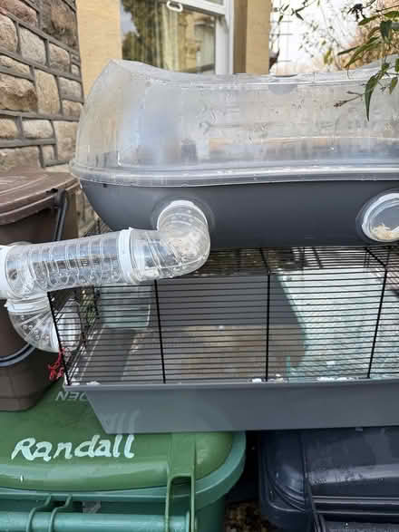 Photo of free Hamster cage (Clifton Wood BS8.) #1