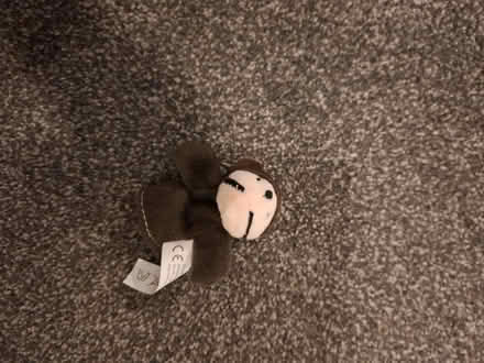 Photo of free Finger puppets (EH20 loanhead) #2