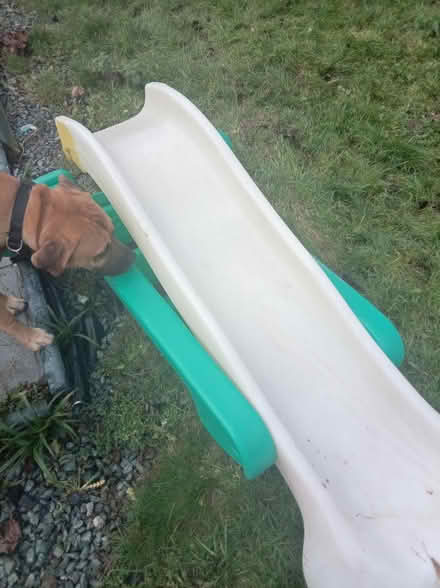 Photo of free Slide (Eastbourne) #2