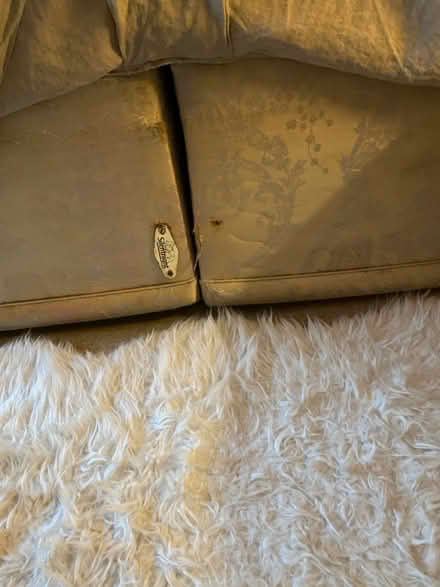 Photo of free Double bed box-frame with headboard (Botley/West Oxford, OX2) #3