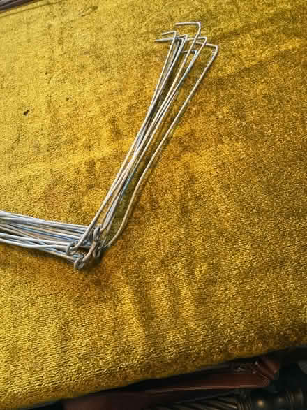 Photo of free Vintage plant supports and bundle of others (Oldfield Park) #2