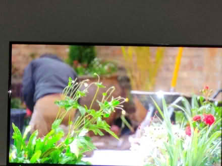 Photo of free Panasonic 49 inch LED TV (Goodrington TQ4) #2