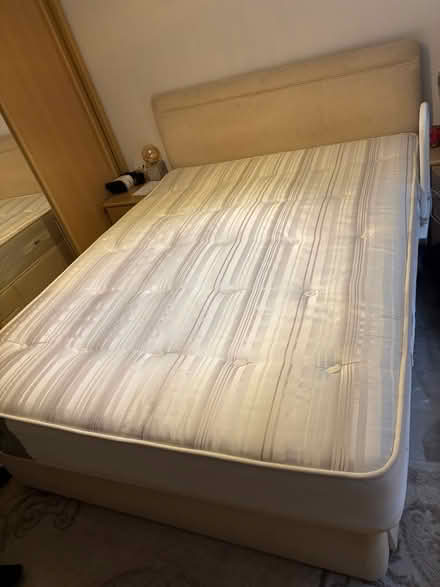 Photo of free King size Sealy Mattress quality (Halling ME2) #1