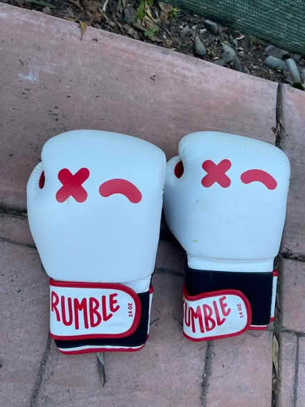 Photo of free Boxing gloves (Sunnyvale) #1