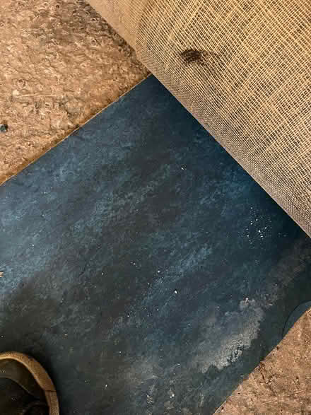 Photo of free Floor vinyl (Sutton Coldfield B73) #1